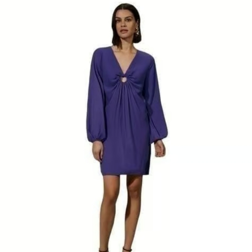 EUC Krisa Beautiful Purple Dress With A Ring Detail Size XS